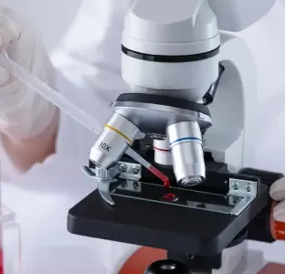 Labs and Diagnostics