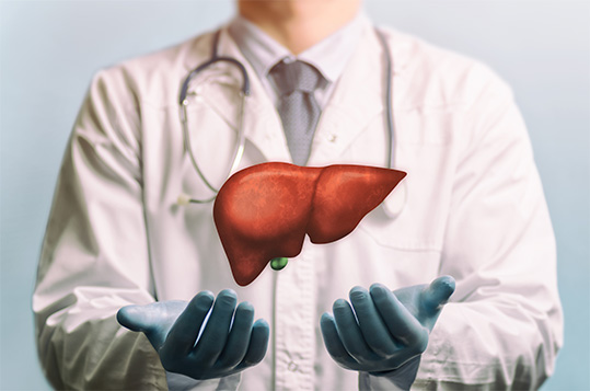Hepatology Team