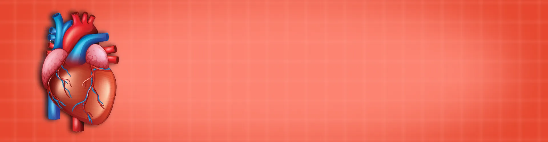 Paediatric Advanced Life Support (PALS) Course