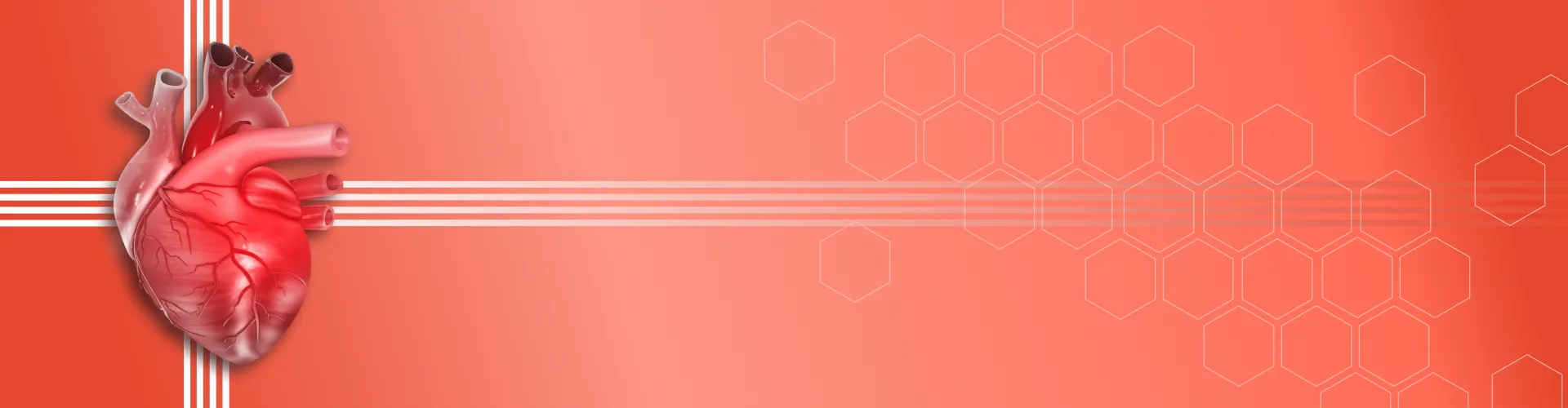 Basic Life Support (BLS) Provider Course