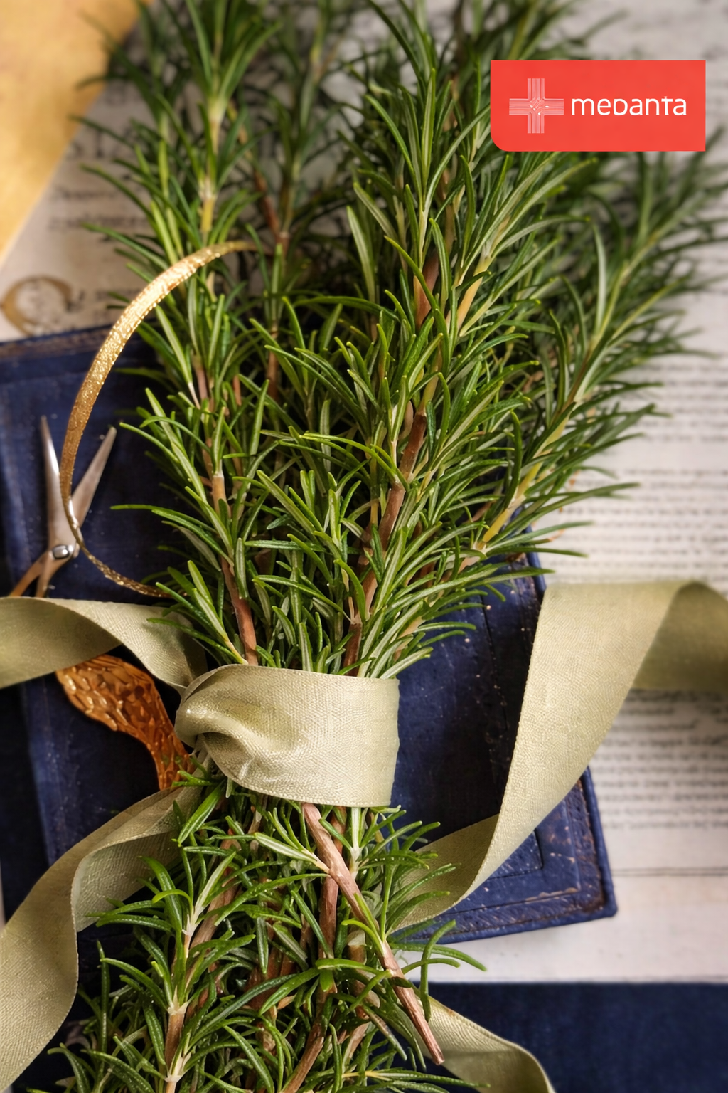 health-benefits-and-uses-of-rosemary-leaves