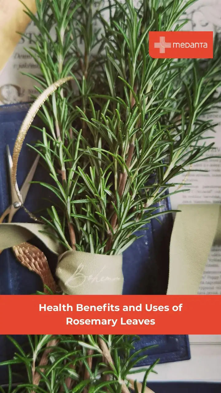 health-benefits-and-uses-of-rosemary-leaves